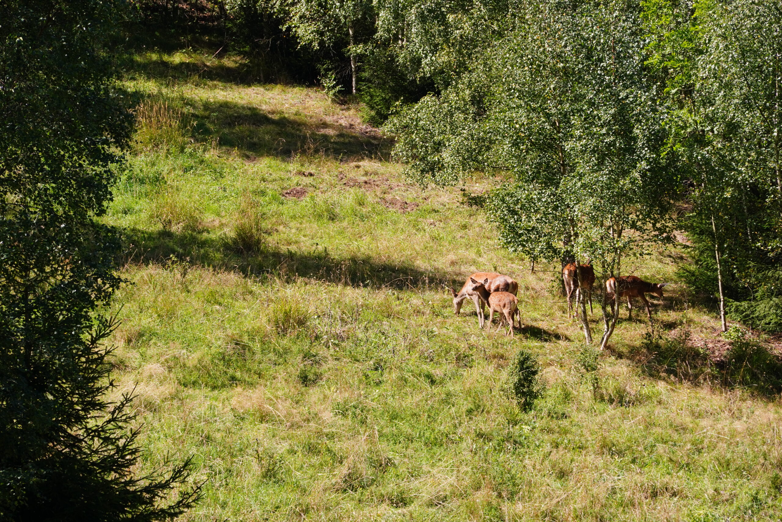 Wspomnienia zapisane w bliźnie. Rozmowa z Markiem Piestrakiem
